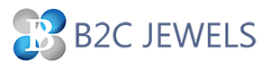 b2c logo