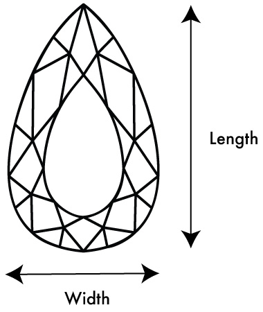 pear length width ratio