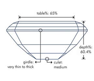 Paris Hiltons Engagement Ring Dimensions